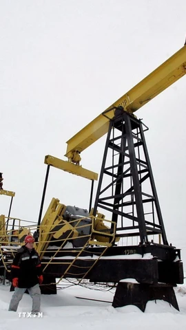 Công nhân kiểm tra các hoạt động bơm dầu tại giếng dầu Gremikhinskoye ở Izhevsk, vùng Ural, Nga. (Ảnh: REUTERS/TTXVN)