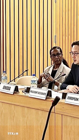 Đại sứ Đỗ Hùng Việt chủ trì Hội nghị tham vấn dành cho các nước thành viên khu vực châu Phi của Hiệp ước Không phổ biến vũ khí hạt nhân (NPT) tháng 11/2025. (Ảnh: TTXVN phát)