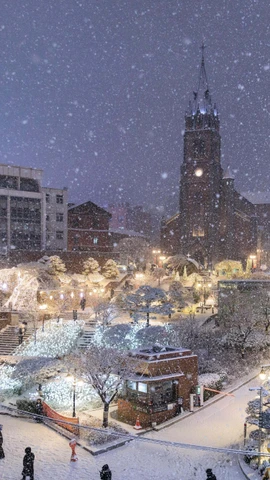 Sáng 26/12, nhiệt độ tại thủ đô Seoul giảm xuống khoảng âm 12 độ C. (Ảnh: THX/TTXVN)