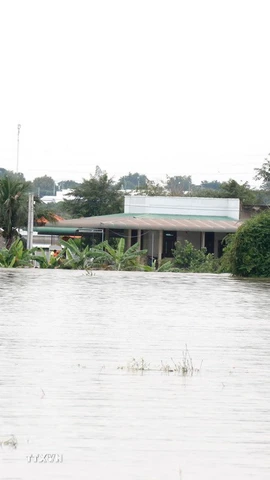 Hàng trăm hộ dân tại xã Hàm Thuận (Lâm Đồng) bị ngập sâu trong nước lũ. (Ảnh: Nguyễn Thanh/TTXVN)