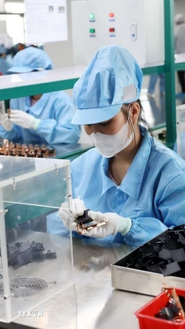 Dây chuyền sản xuất linh kiện điện tử xuất khẩu. (Ảnh minh họa: Phạm Hậu/TTXVN)