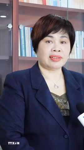 Giáo sư Phan Kim Nga trả lời phỏng vấn phóng viên TTXVN. (Ảnh: Quang Hưng/TTXVN)