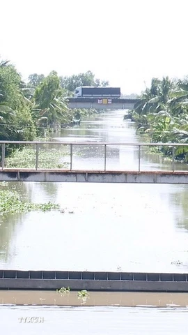 Hệ thống cống giúp ngăn mặn, trữ ngọt, giúp giảm thiểu tác động do hạn hán và xâm nhập mặn. (Ảnh minh họa. Nguồn: TTXVN)