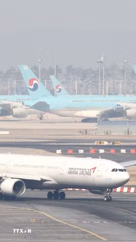 Máy bay của hãng hàng không Korean Air và Asiana Airlines tại sân bay quốc tế Incheon. (Ảnh: Yonhap/TTXVN)
