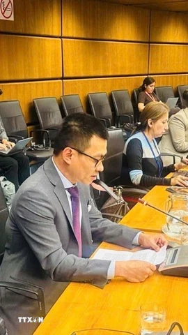 Đại sứ Vũ Lê Thái Hoàng phát biểu tại Phiên họp. (Ảnh TTXVN phát)