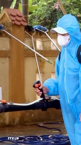 Phun hóa chất phòng chống dịch bệnh sau lũ. (Ảnh: TTXVN phát)