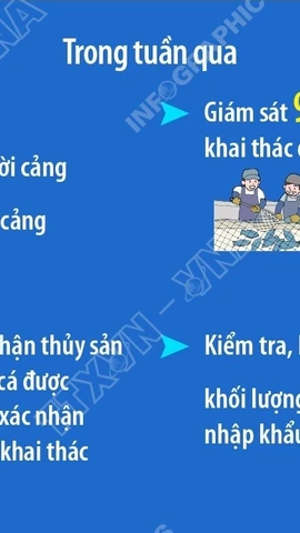 Phó Thủ tướng Trần Hồng Hà: Quyết liệt thực hiện nhiệm vụ chống khai thác IUU