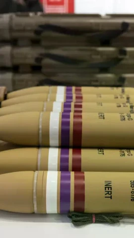 Hội đồng Quốc gia Thụy Sĩ quyết định nới lỏng quy định xuất khẩu vũ khí.(Nguồn: Swiss info)