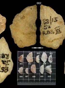 Năm mũi tên từ hang đá Umhlatuzana với hai chất độc thực vật. (Nguồn: Live Science)