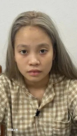 Đối tượng Đỗ Lệ Thủy. (Ảnh: TTXVN phát)