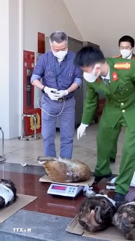 Ảnh minh họa. (Ảnh: TTXVN phát)