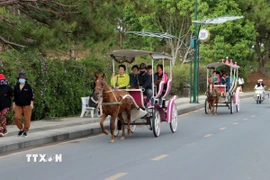 Dịch vụ chở du khách thăm quan quanh hồ Xuân Hương đã tồn tại hàng chục năm ở thành phố Đà Lạt. (Ảnh Chu Quốc Hùng/TTXVN)