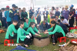 Đông đảo du khách thập phương tham quan và trải nghiệm sao chè bằng phương pháp thủ công truyền thống. (Ảnh: Quân Trang/TTXVN)