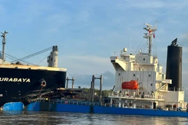 Hai tàu hàng va chạm nhau trên sông Lòng Tàu, huyện Cần Giờ, TP Hồ Chí Minh. (Nguồn: báo Tuổi trẻ)