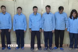 Các đối tượng bị bắt giữ. (Ảnh: TTXVN phát)