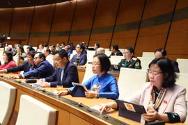 Quốc hội thông qua nhiều luật và nghị quyết quan trọng. (Ảnh: TTXVN)