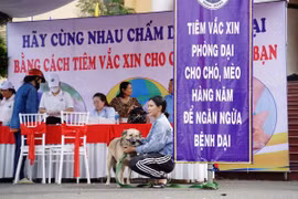 Đưa chó, mèo đi tiêm vaccine phòng bệnh dại. (Nguồn: báo Bình Định)
