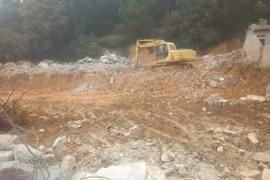 Hà Nội: Xác minh việc khai thác đất lâm nghiệp trái phép ở Sóc Sơn và Quốc Oai