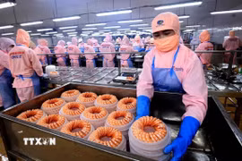 Đóng gói mặt hàng tôm xuất khẩu tại Công ty Cổ phần Tập đoàn Thủy sản Minh Phú, tỉnh Hậu Giang. (Ảnh: Tuấn Anh/TTXVN)