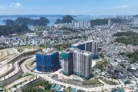 Dự án nhà ở xã hội khu dân cư đồi Ngân hàng thuộc địa phận 2 phường Hồng Hải và Cao Thắng, thành phố Hạ Long, tỉnh Quảng Ninh, sẽ được bàn giao căn hộ trong quý 1 năm nay. (Nguồn: Cổng Thông tin Điện tử tỉnh Quảng Ninh)