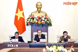 Chủ tịch Quốc hội Trần Thanh Mẫn phát biểu. (Ảnh: Doãn Tấn/TTXVN)