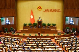 Quang cảnh khai mạc Kỳ họp bất thường lần thứ 8, Quốc hội khoá XV. (Ảnh: Doãn Tấn/TTXVN)