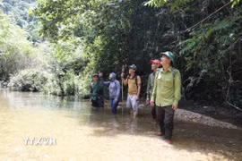 Lực lượng kiểm lâm và người dân địa phương trong khu vực suối Khe Cố, Tiểu khu 730, được khoanh nuôi, bảo vệ nguồn lợi thủy sản. (Ảnh: Xuân Tiến/TTXVN)
