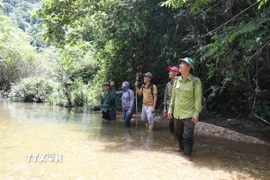 Lực lượng kiểm lâm và người dân địa phương trong khu vực suối Khe Cố, Tiểu khu 730, được khoanh nuôi, bảo vệ nguồn lợi thủy sản. (Ảnh: Xuân Tiến/TTXVN)