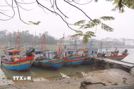 Thuyền cá của ngư dân tỉnh Nghệ An neo đậu ở các bến, bãi trên các luồng, lạch. (Ảnh: Xuân Tiến/TTXVN)