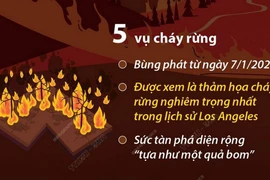 Cháy rừng tại Mỹ: Thiệt hại ước tính gần 150 tỷ USD