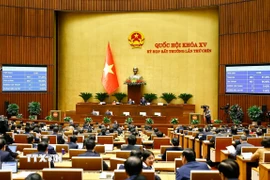 Quốc hội biểu quyết thông qua Luật Tổ chức Chính phủ-sửa đổi. (Ảnh: Doãn Tấn/TTXVN)