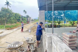 Người dân tại thôn Vĩnh Phúc, tỉnh Hà Tĩnh, xây dựng lại hàng rào sau khi hiến đất. (Ảnh: Hữu Quyết/TTXVN)