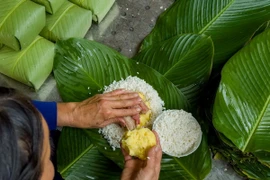 Gói bánh chưng ngày Tết. (Ảnh: Minh Sơn/Vietnam+)