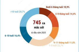 CDC Hà Nội: Số ca mắc sởi tại Thủ đô gia tăng