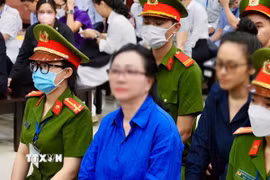 Bị cáo Trương Mỹ Lan tại phiên tòa. (Ảnh: Hồng Giang/TTXVN)
