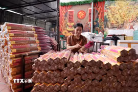 Du khách nhí chụp ảnh lưu niệm tại Làng hương Quảng Phú Cầu tại xã Quảng Phú Cầu, huyện Ứng Hòa, Hà Nội. (Ảnh: Tuyết Mai/TTXVN)