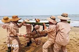 Việt Nam hướng tới mục tiêu đất nước không còn bom mìn