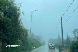 Mưa dông ở vùng núi. (Ảnh: Vietnam+)