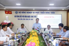 Bộ trưởng Bộ Nông nghiệp và Môi trường Đỗ Đức Duy chỉ đạo lãnh đạo ngành nông nghiệp và môi trường các tỉnh, thành vùng Đồng bằng sông Cửu Long ổn định mô hình, tổ chức bộ máy theo mô hình bộ máy mới. (Ảnh: Thu Hiền/TTXVN)