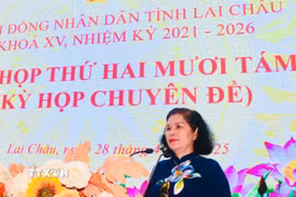 Bí thư Tỉnh ủy, Chủ tịch Hội đồng Nhân dân, Trưởng Đoàn Đại biểu Quốc hội tỉnh Lai Châu Giàng Páo Mỷ phát biểu. (Ảnh: TTXVN phát)