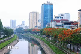 Dọc sông Tô Lịch. (Ảnh: Tuấn Anh/TTXVN)