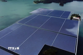 (Ảnh minh họa: Huy Hùng/TTXVN)