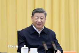 Chủ tịch Trung Quốc Tập Cận Bình phát biểu tại thủ đô Bắc Kinh. (Ảnh: THX/TTXVN)