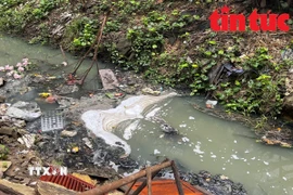 Nhiều loại rác thải, nước thải sinh hoạt ùn ứ lâu ngày, không được tiêu thoát... bốc mùi hôi thối nồng nặc. (Ảnh: Thế Đoàn/báo Tin tức)