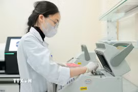 Nhân viên y tế làm xét nghiệm PCR. (Ảnh minh họa: Minh Quyết/TTXVN)