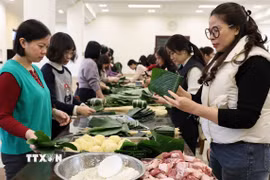 Các chị, em tập trung gói bánh chưng truyền thống trong Đại sứ quán Việt Nam tại Bắc Kinh. (Ảnh: Quang Hưng/TTXVN)