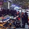 Australia: Tấn công bằng dao gây rúng động dư luận ở Sydney