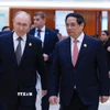 Thủ tướng Phạm Minh Chính gặp Tổng thống Nga Vladimir Putin