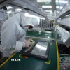 Lắp ráp máy tính xách tay tại nhà máy của Công ty Heesung Electronics Việt Nam, Khu công nghiệp Tràng Duệ, quận An Dương, thành phố Hải Phòng. (Ảnh: Vũ Sinh/ TTXVN)