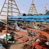 Tàu không đủ điều kiện sẽ không cho ra khơi xuất bến. (Ảnh: Hoàng Nhị/TTXVN)